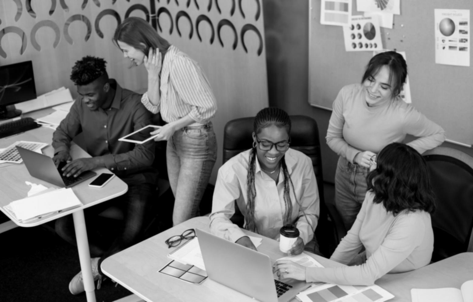 Suivi de performances SEO local